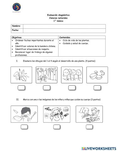 Evaluación diagnóstica primero básico