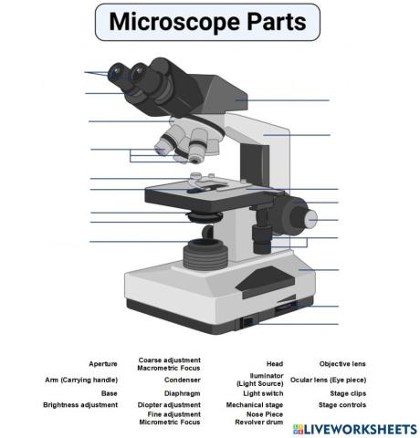 Microscope