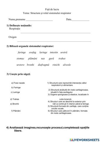 Sistem respirator