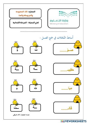 التاء المفتوحة والمربوطة والهاء