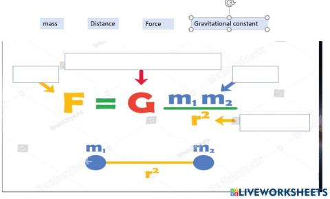 Newton law