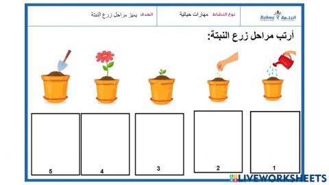 مهارات حياتية2