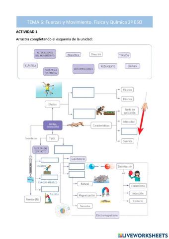 Fyq2eso-tema 5-Fuerzas