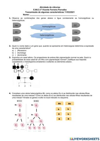 atividade de genética