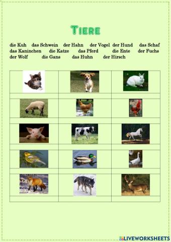 Tiere - kennst du alle?