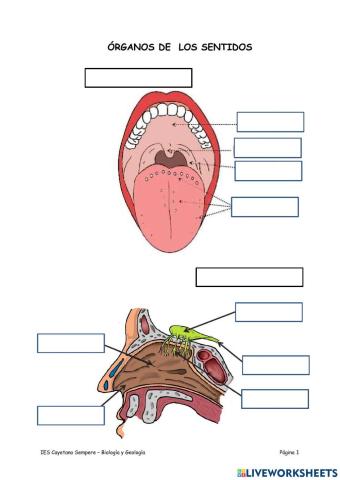 Biología