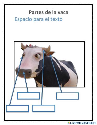 Partes de la vaca