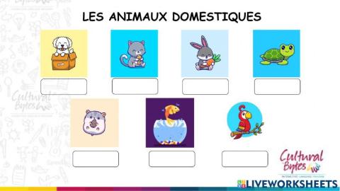 Les animaux  domestiques