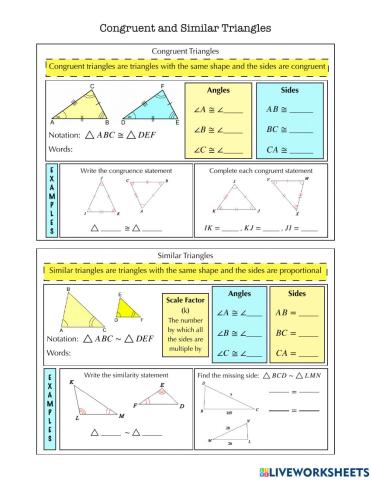 Congruent and Similar Triangles Notes