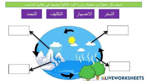 تعلم قبلي درس دورة الماء