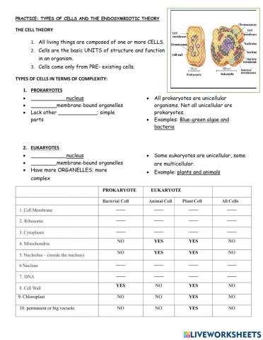 Endosymbiotic theory