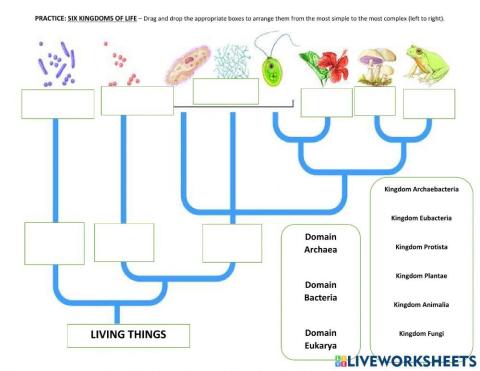 Six Kingdoms of Life