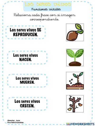 Seres vivos: Funciones Vitales