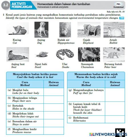 Bab 3.1 homeostasis dalam haiwan