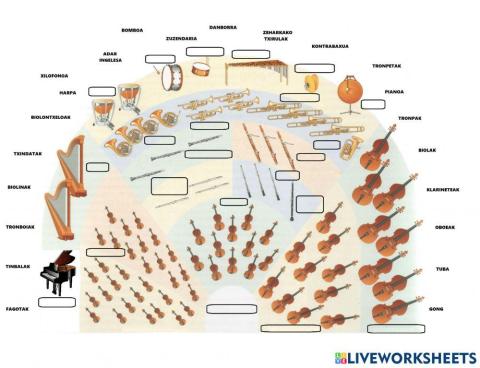 Orkestrako instrumentuak