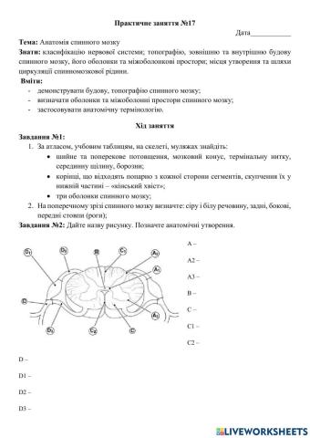 Практичне заняття №17