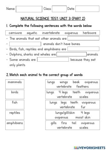 Test about vertebrate animals