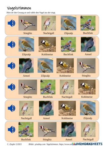 Vogelstimmen