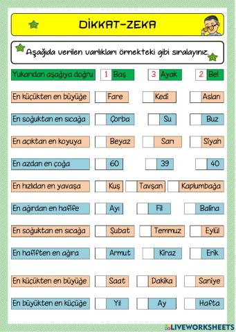 Dikkat-zeka