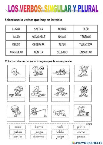 Plural y singular de los verbos