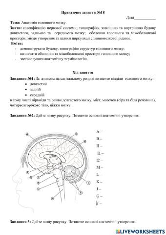 Практичне заняття №18