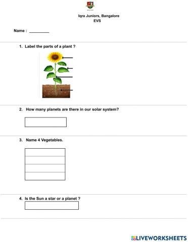 EVS worksheet