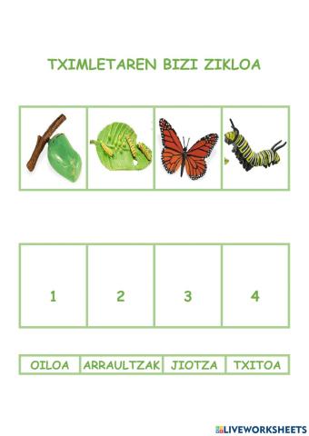 Tximeleten bizi zikloa