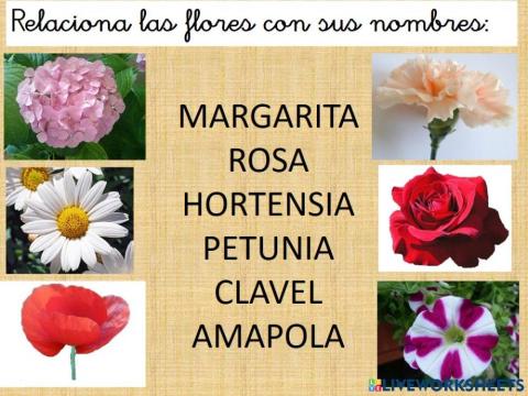 Los nombres de las flores