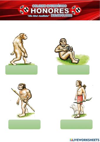 Evolucion del hombre