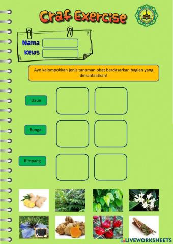 Latihan Budidaya Tanaman Obat