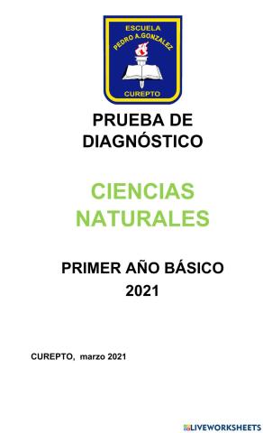 Evaluación diagnóstica Ciencias Naturales