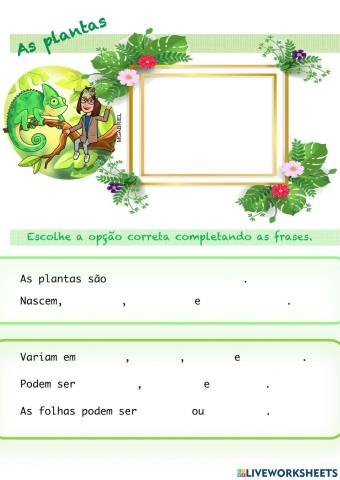 As plantas