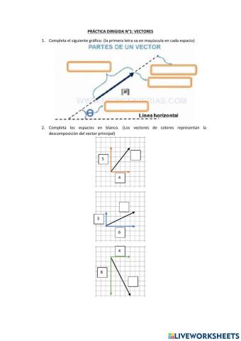 Ficha básica de vectores