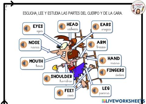 Parts of the body REVISION