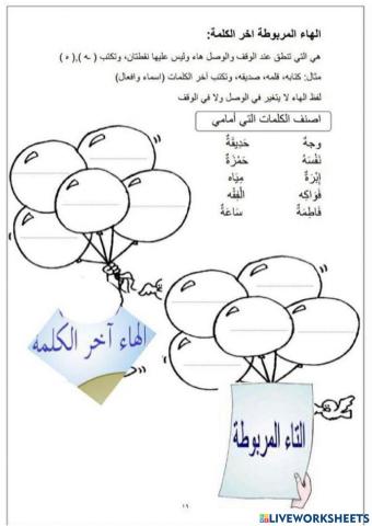 ورقة عمل التاء المربوطة و الهاء