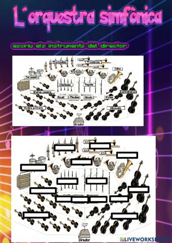 Musica - l-orquestra simfònica