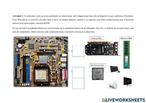 Conexión de Hardware