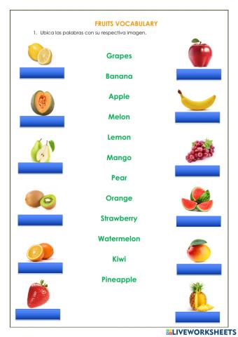 Fruits Vocabulary