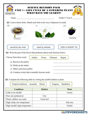 Unit 1 - Life cycle of a flowering plant