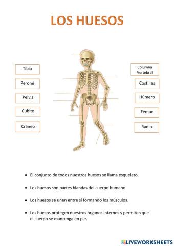 Los Huesos 