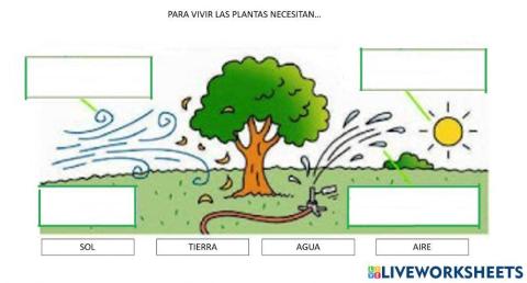 Que necesitan las plantas para vivir?