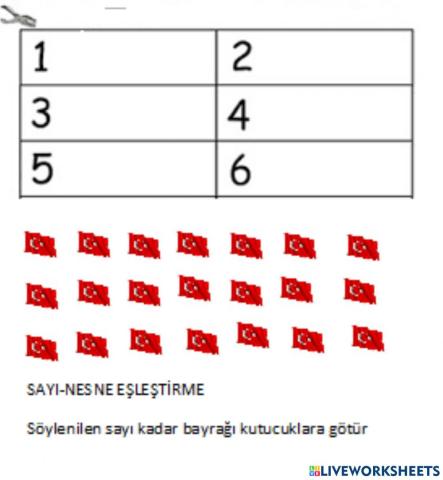 Bayrak-sayı eşleştirme