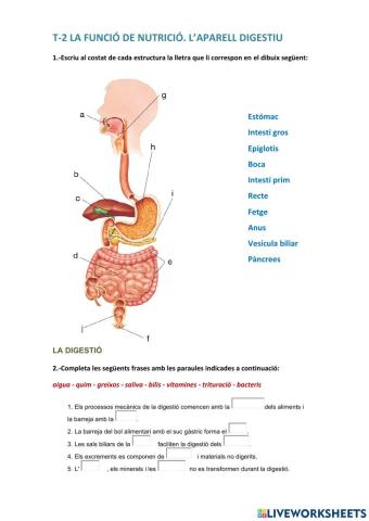 La digestió