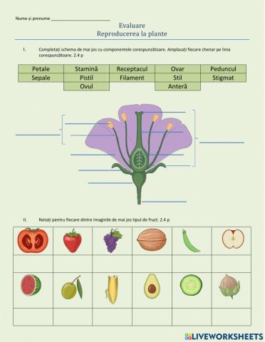 Reproducerea la plante