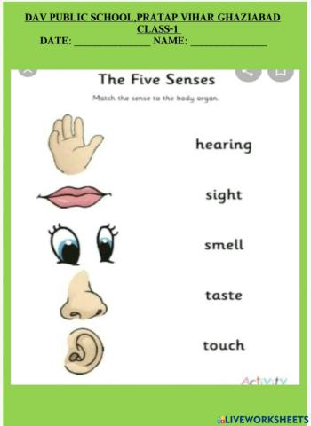 Sense-organs