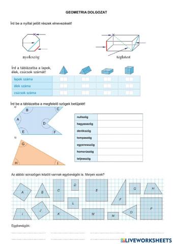 Geometria dolgozat