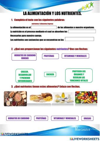 La alimentación y nutrición