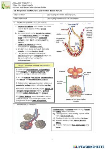 2.2 Pergerakan dan Pertukaran Gas di Dalam Badan Manusia