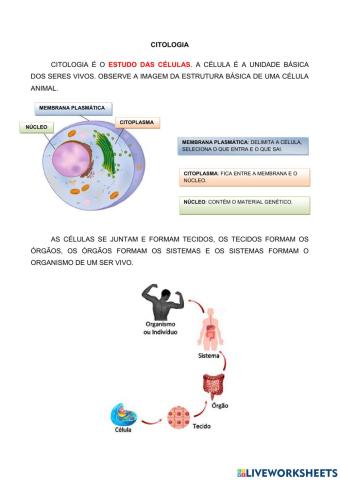 Citologia - atividade bem simples