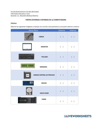 Partes físicas externas e internas de la computadora